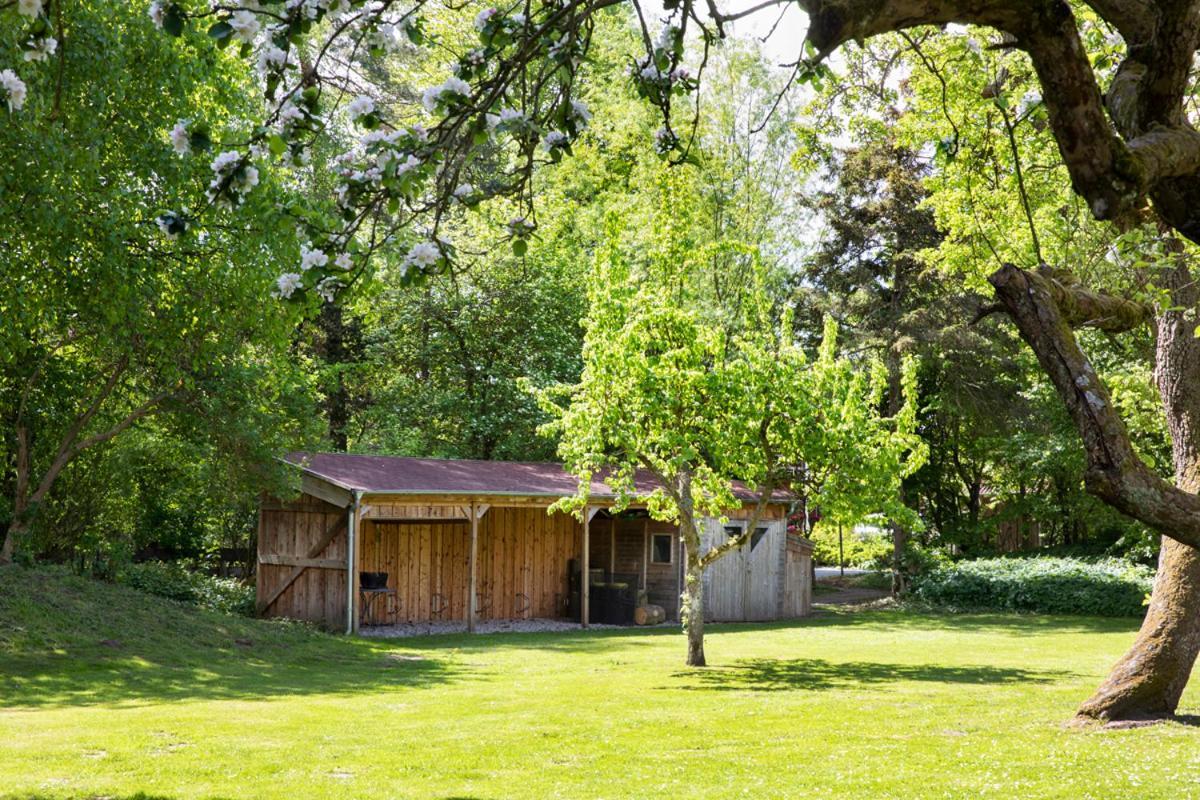 Reetdachhaus Mit Naehe Zur Ostsee, Aussensauna, Spielplatz & Grossem Garten Manhagen Eksteriør billede
