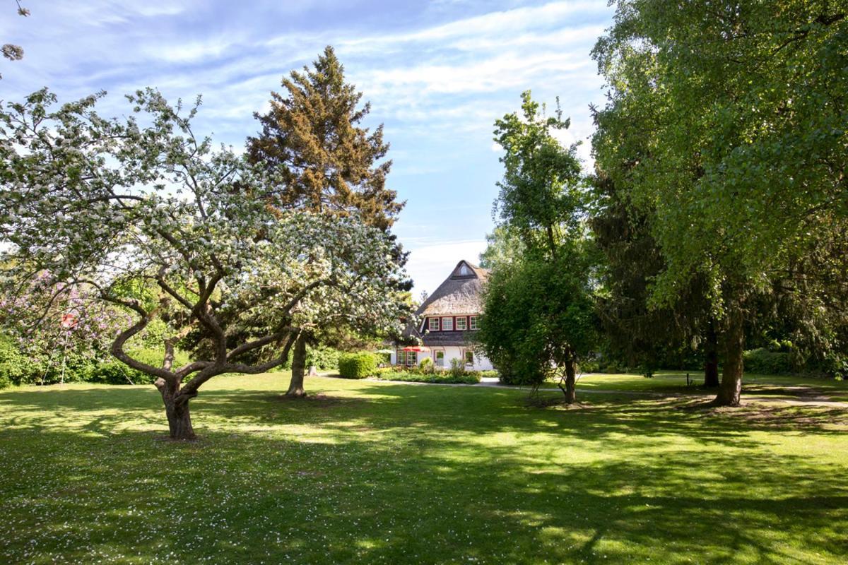 Reetdachhaus Mit Naehe Zur Ostsee, Aussensauna, Spielplatz & Grossem Garten Manhagen Eksteriør billede